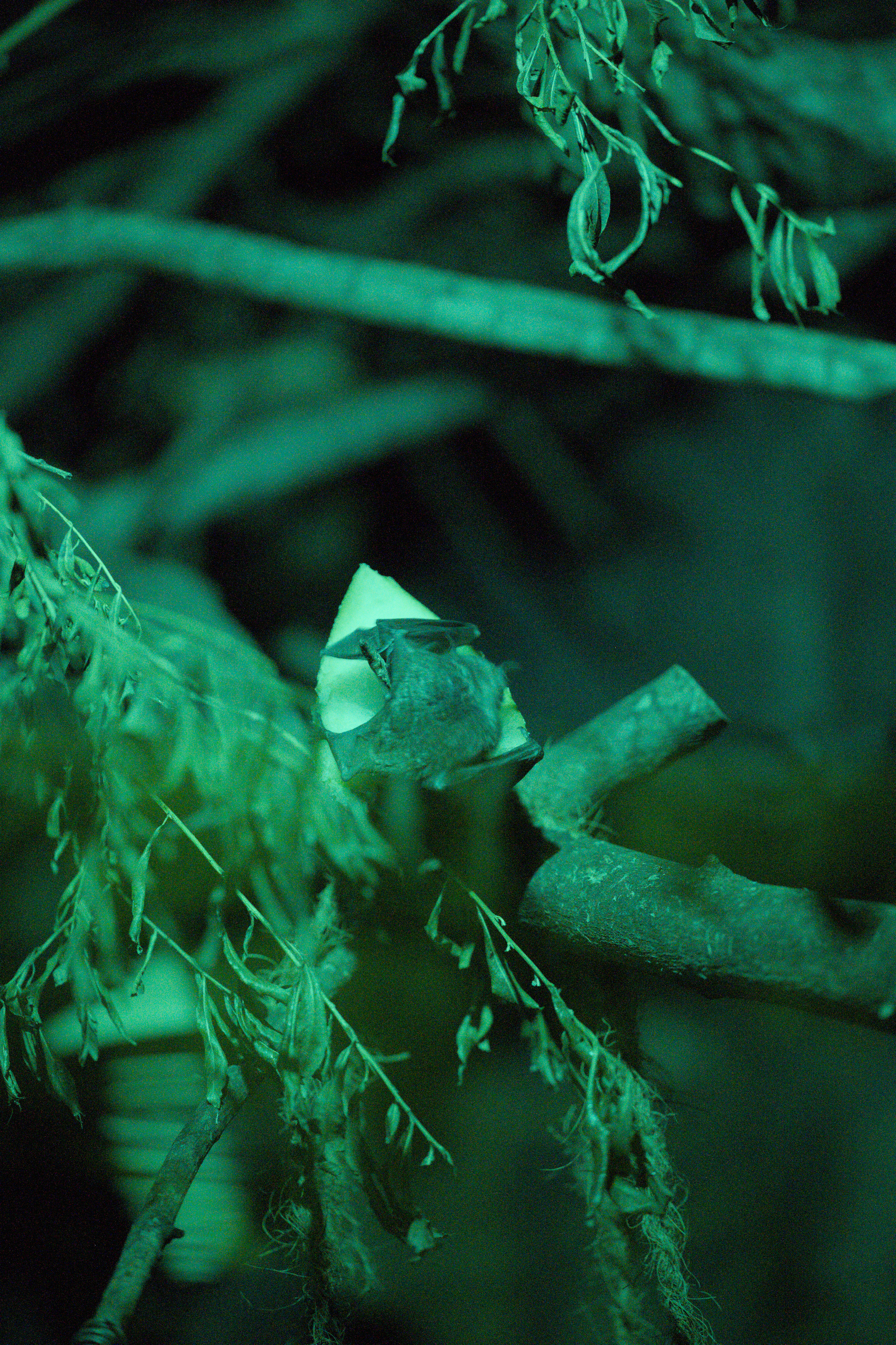 2025/10/12 - zoo/DSC_0275.jpg